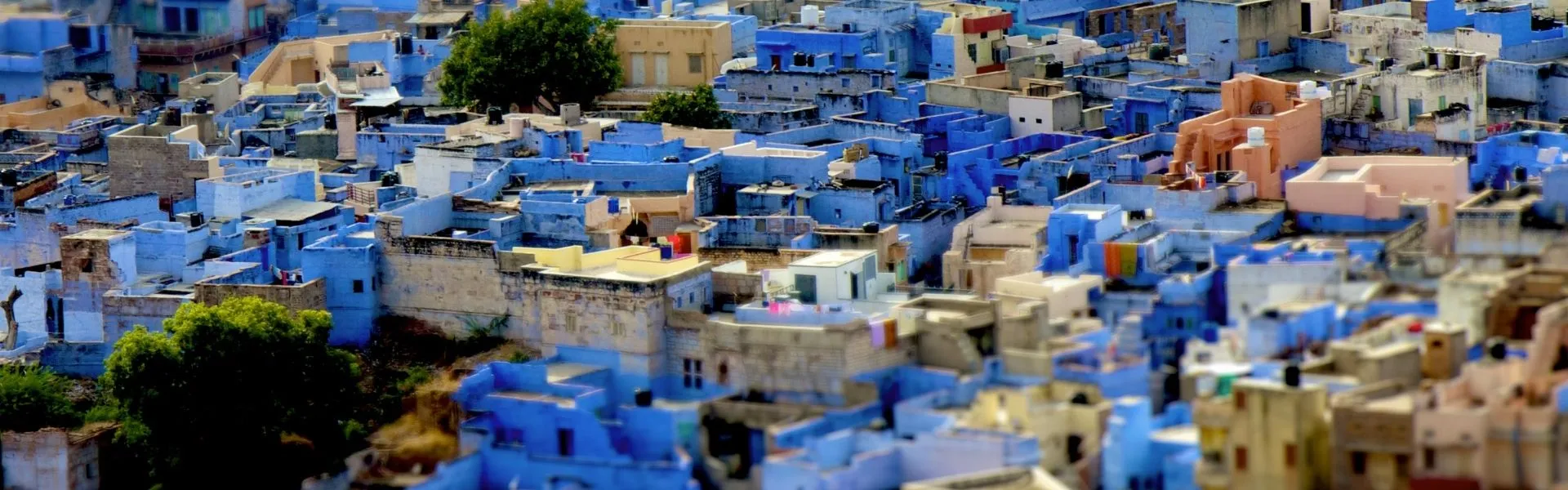 jodhpur