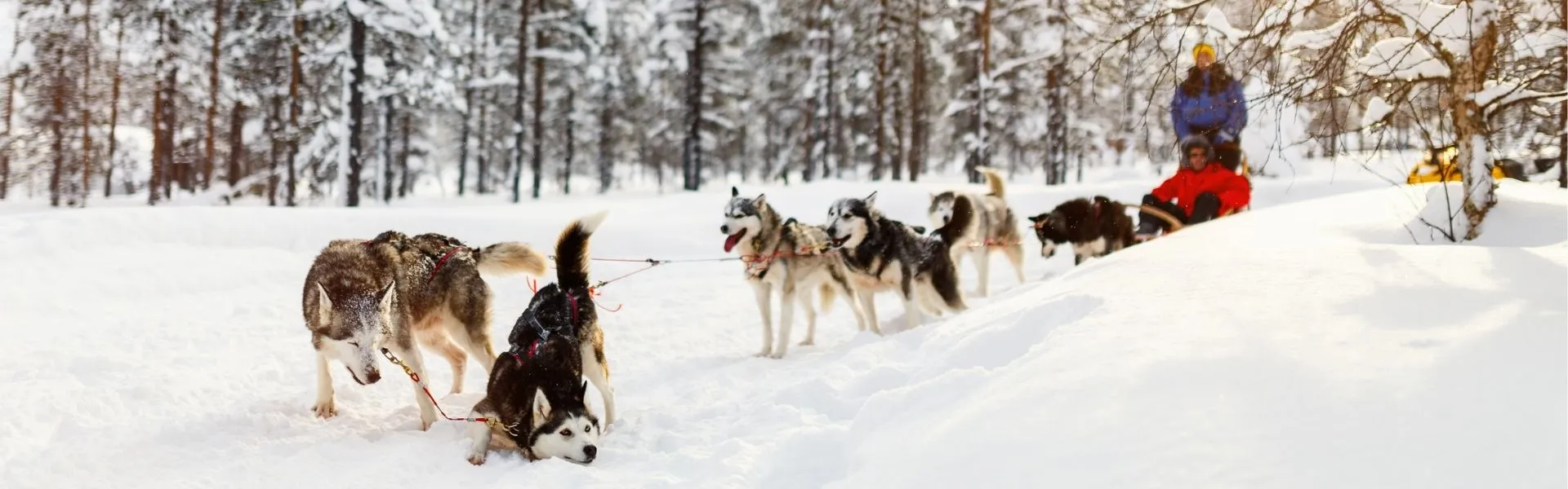rovaniemi
