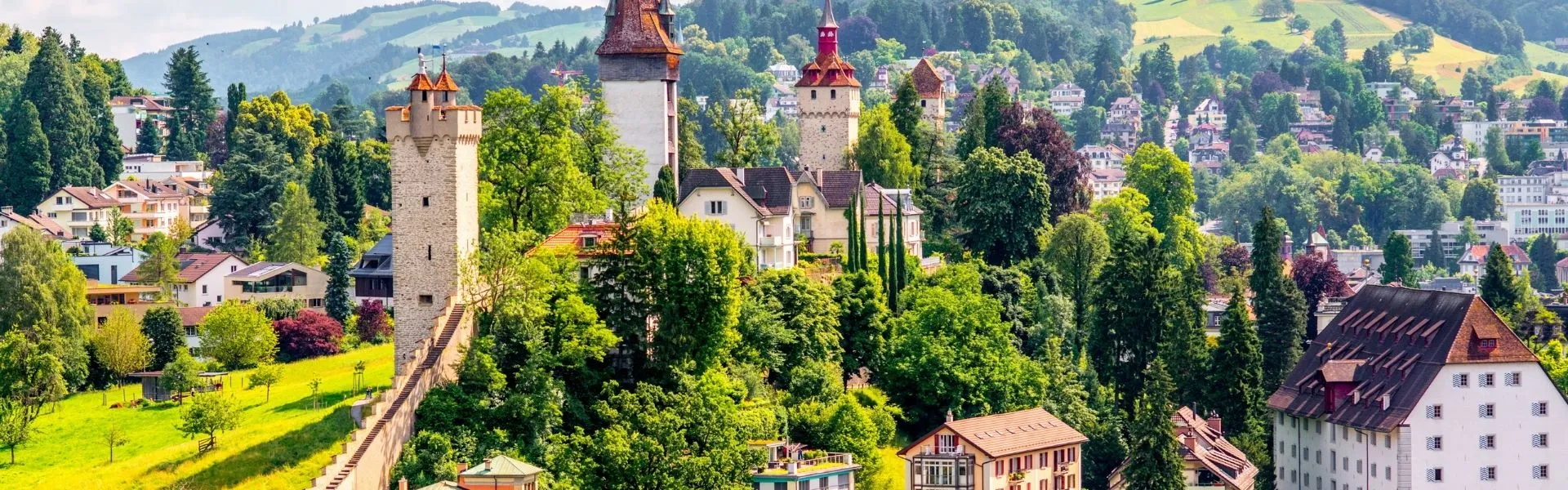 lucerne